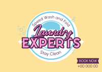 Laundry Experts Postcard