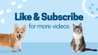 Pet Vaccination Video