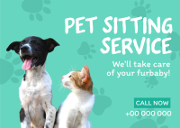 Pet Sitting Service Postcard