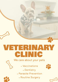 Professional Veterinarian Clinic Flyer