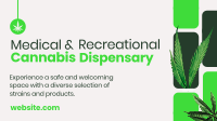 Recreational Cannabis Dispensary Animation