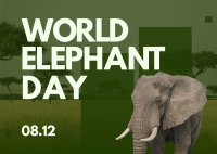 World Elephant Celebration Postcard