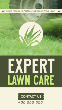 Minimalist Lawn Care Experts TikTok Video