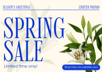 Spring Season Promo Postcard