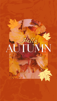 Hello There Autumn Greeting Instagram Reel Image Preview