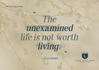 Unexamined Living Postcard