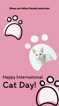 Pink International Cat Day Facebook Story