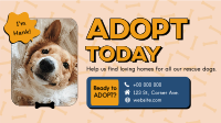 Adopt A Pup Animation