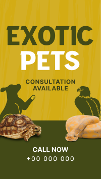 Exotic Vet Consultation Instagram Story