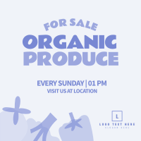Organic Vegetables Instagram Post Design