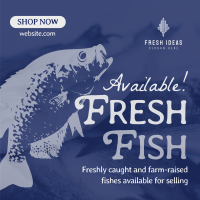 Fresh Fishes Available Instagram Post Image Preview