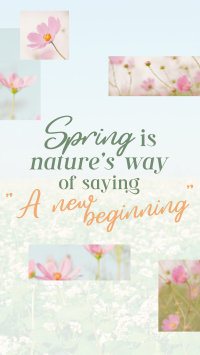 Spring Quote Instagram Reel