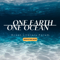 One Ocean Linkedin Post