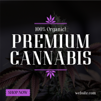 High Quality Cannabis Instagram Post