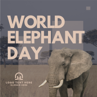 World Elephant Day Linkedin Post example 1