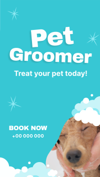 Professional Pet Groomer Instagram Story