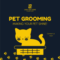 Pet Groomer Instagram Post