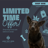 Quirky Dog Sale Instagram Post Design