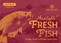 Fresh Fishes Available Postcard Design