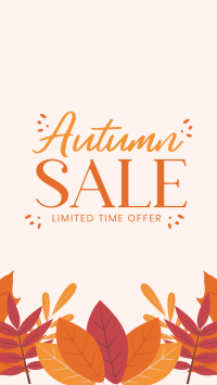 Autumn Limited Offer Instagram Reel Image Preview