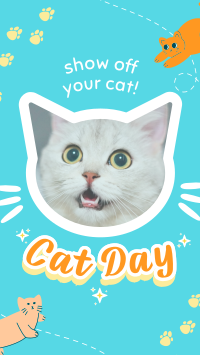 Show off your cat! Instagram Story