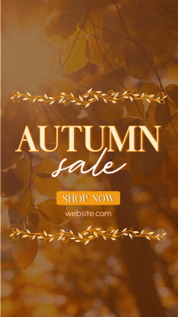 Special Autumn Sale  TikTok Video