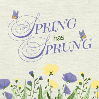 Spring Has Sprung Linkedin Post Design