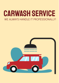 Carwash Professionals Flyer