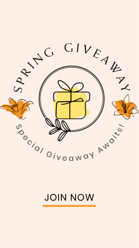 Spring Giveaway Instagram Story