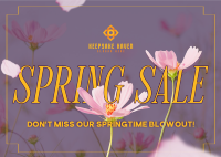 Spring Sale Postcard Image Preview