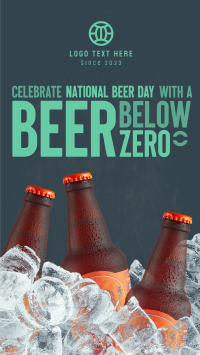 Below Zero Beer Instagram Reel