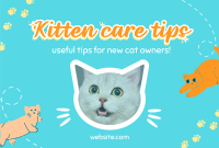 Show off your cat! Pinterest Cover