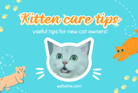 Show off your cat! Pinterest Cover Image Preview