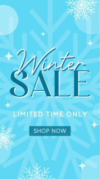 Winter Shopping  Sale Instagram Reel