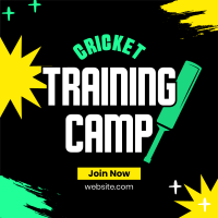 Cricket For Beginners Linkedin Post