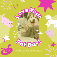 Share your Pet's Photo Instagram Post