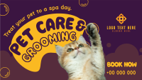 Pet Care and Grooming Animation