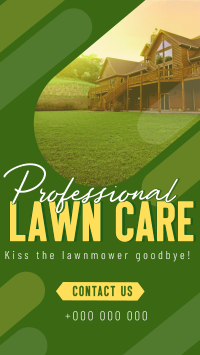 Professional Lawn Cleaning YouTube Short