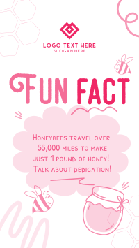 Honey Bees Fact Video