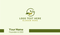 Green Olive Branch  Business Card