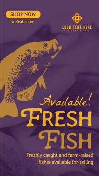 Fresh Fishes Available Video