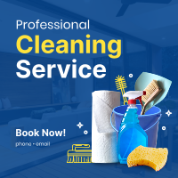 The Professional Cleaner Instagram Post Design