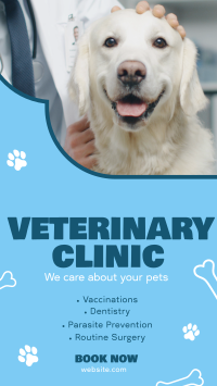 Professional Veterinarian Clinic TikTok Video