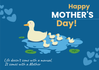 Mother Duck Postcard