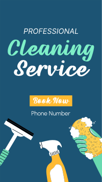 Professional Cleaner Facebook Story