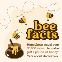Honey Bee Facts Instagram Post