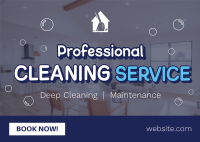 Professional Cleaning Service Postcard