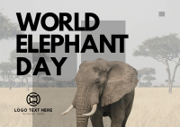 World Elephant Celebration Postcard