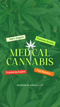 Trusted Medical Marijuana Facebook Story