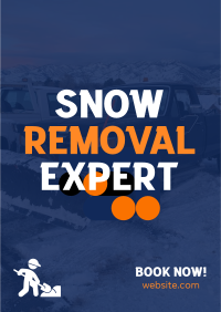 Snow Removal Expert Flyer